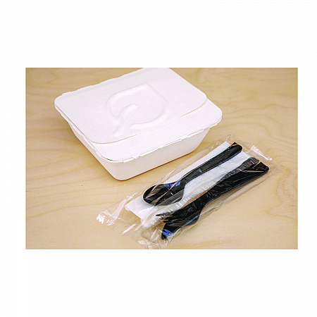 Vanguard Folia Renewable and Compostable Take-Out Container, 3 Compartments, 22 oz, 5.39 x 5.94 x 2, White, Sugarcane, 300/CT (EPFSC22NFA)
