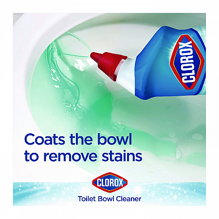 Disinfecting Toilet Bowl Cleaner with Bleach, Rain Clean Scent, 24 oz Bottle, 2/Pack (30924)