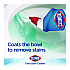 Disinfecting Toilet Bowl Cleaner with Bleach, Rain Clean Scent, 24 oz Bottle, 2/Pack (30924)