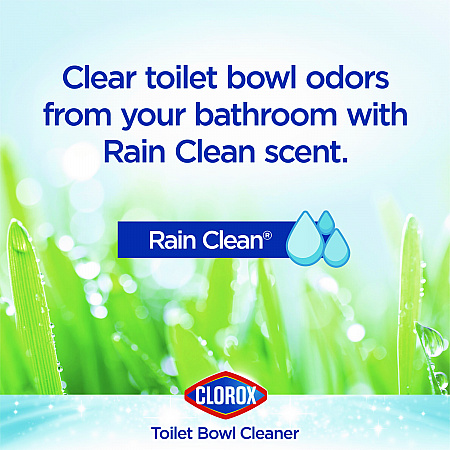 Disinfecting Toilet Bowl Cleaner with Bleach, Rain Clean Scent, 24 oz Bottle, 2/Pack (30924)
