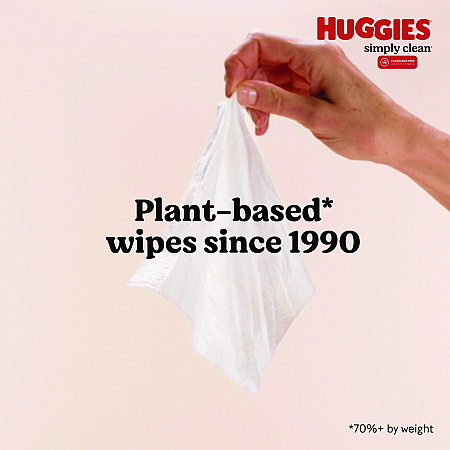 Simply Clean Fragrance Free Baby Wipes, 64/Pack, 11 Packs/Carton (53611)