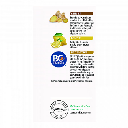Probiotics Lemon and Ginger Herbal Tea Bags, 0.05 oz, 18/Box (TNA95223)