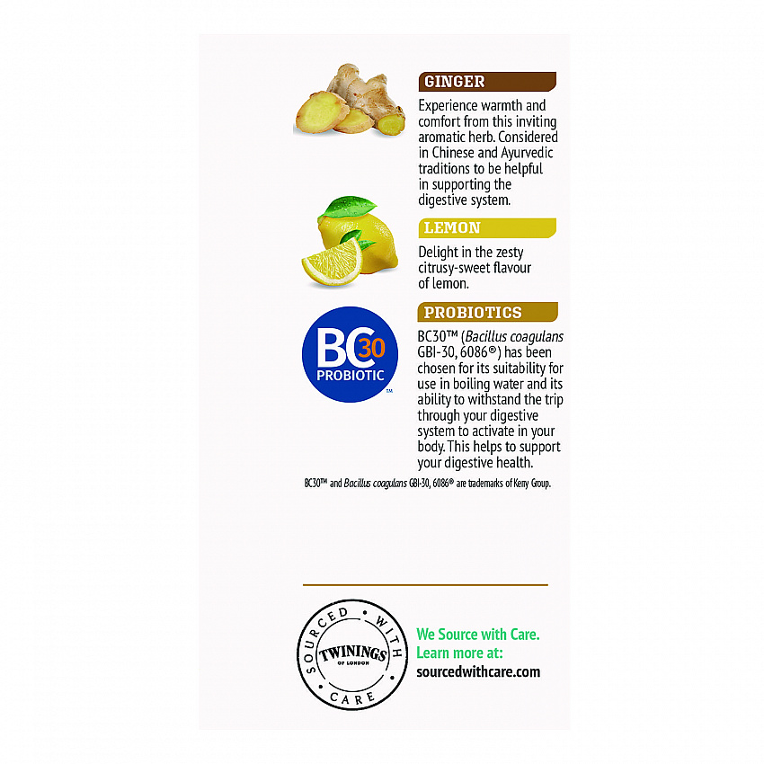 Probiotics Lemon and Ginger Herbal Tea Bags, 0.05 oz, 18/Box (TNA95223)