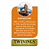 Probiotics Lemon and Ginger Herbal Tea Bags, 0.05 oz, 18/Box (TNA95223)