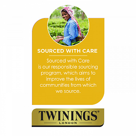 Probiotics Lemon and Ginger Herbal Tea Bags, 0.05 oz, 18/Box (TNA95223)