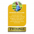 Probiotics Lemon and Ginger Herbal Tea Bags, 0.05 oz, 18/Box (TNA95223)