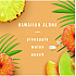 PLUG Air Freshener Refills, Hawaiian Aloha, 0.87 oz, 3/Pack (54345)