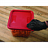 Squares Food Storage Container Lid, 9 x 9 x 0.63, Red, Plastic (1197105)
