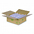 GreenStripe Cold Cup Dome Lids, No Hole, Fits 9 oz to 24 oz Cold Cups, Plastic, Clear, 100/Pack, 10 Packs/Carton (EPDLCCNH)