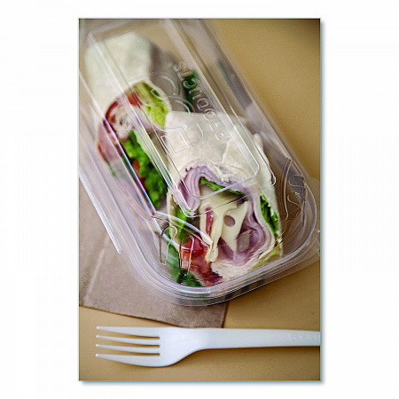 Renewable and Compostable Clear Clamshell Hinged Food Containers, 9 x 6 x 3, Plastic, 80/Pack, 3 Packs/Carton (EPLC96)