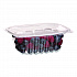Renewable and Compostable Rectangular Deli Containers with Lid, 12 oz, 2 x 4 x 2, Clear, Plastic, 100/Pack, 3 Packs/Carton (EPRC12)