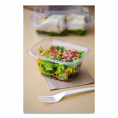 Renewable and Compostable Rectangular Deli Containers with Lid, 16 oz, 3 x 4 x 3, Clear, Plastic, 100/Pack, 3 Packs/Carton (EPRC16)