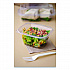 Renewable and Compostable Rectangular Deli Containers with Lid, 16 oz, 3 x 4 x 3, Clear, Plastic, 100/Pack, 3 Packs/Carton (EPRC16)