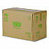 Renewable and Compostable Rectangular Deli Containers with Lid, 16 oz, 3 x 4 x 3, Clear, Plastic, 100/Pack, 3 Packs/Carton (EPRC16)