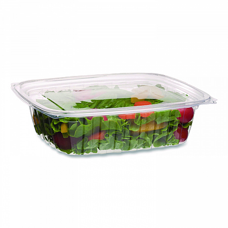 Renewable and Compostable Rectangular Deli Containers with Lid, 24 oz, 4 x 5.5 x 2, Clear, Plastic, 50/Pack, 4 Packs/Carton (EPRC24)