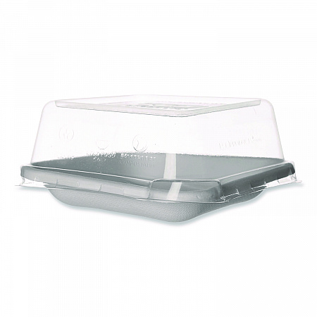 WorldView Renewable Molded Fiber Containers, 10 oz, 5.04 x 5.04 x 1.09, White, 800/Carton (EPSCS5)