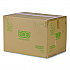 Compostable Takeout Wedge Sandwich Containers, 4.25 x 4.25 x 6.5 x 3, Clear, Plastic, 500/Carton (EPSWH3)