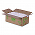 Vanguard Renewable and Compostable Sugarcane Clamshells, 3 Compartments, 9 x 6 x 3, White, 250/Carton (EPB002NFA)