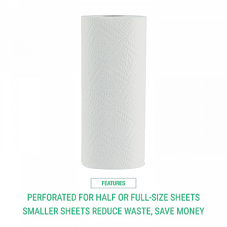 Premium Kitchen Roll Towels, 2-Ply, 11 x 6, White, 110/Roll, 12 Rolls/Carton (12216)
