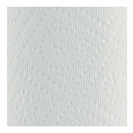 Premium Kitchen Roll Towels, 2-Ply, 11 x 6, White, 110/Roll, 12 Rolls/Carton (12216)