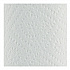 Premium Kitchen Roll Towels, 2-Ply, 11 x 6, White, 110/Roll, 12 Rolls/Carton (12216)