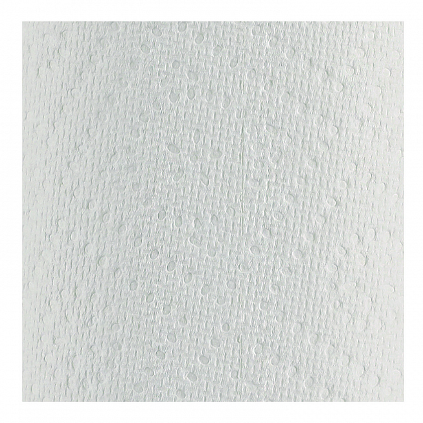 Premium Kitchen Roll Towels, 2-Ply, 11 x 6, White, 110/Roll, 12 Rolls/Carton (12216)
