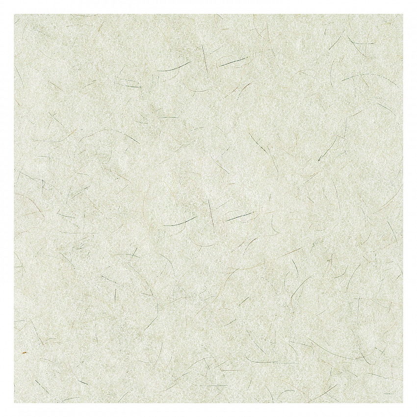 Natural Burnishing Floor Pads, 19" Diameter, White, 5/Carton (4019NAT)