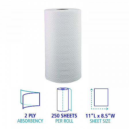 Kitchen Roll Towel, 2-Ply, 11 x 8.5, White, 250/Roll, 12 Rolls/Carton (6273)