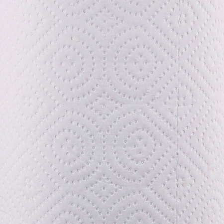 Kitchen Roll Towel, 2-Ply, 11 x 8.5, White, 250/Roll, 12 Rolls/Carton (6273)
