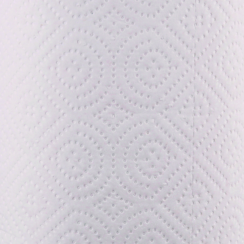 Kitchen Roll Towel, 2-Ply, 11 x 8.5, White, 250/Roll, 12 Rolls/Carton (6273)