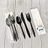 Six-Piece Cutlery Kit, Mediumweight, Fork/Knife/Napkin/Pepper/Salt/Spoon, 5.86