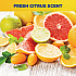 Spirit II Ready-to-Use Detergent Disinfectant, Citrus Scent, 55 gal Drum (67986)