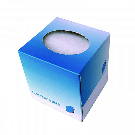 Facial Tissue Cube Box, 2-Ply, White, 85 Sheets/Box, 36 Boxes/Carton (852E)