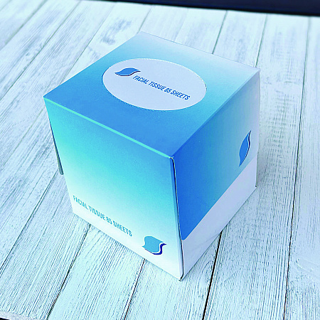 Facial Tissue Cube Box, 2-Ply, White, 85 Sheets/Box, 36 Boxes/Carton (852E)