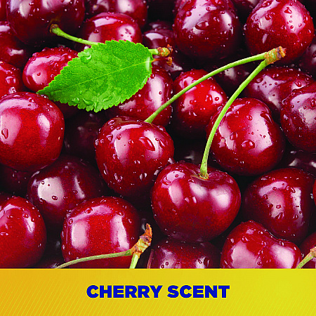 Cherry Bomb Gel Hand Cleaner, Cherry Scent, 48 oz (ZUCBHC484EA)