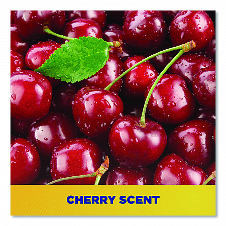 Cherry Bomb Gel Hand Cleaner, Cherry Scent, 48 oz, 4/Carton (ZUCBHC484CT)