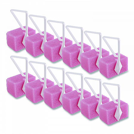Para Toilet Bowl Deodorizer Block, Cherry Scent, Pink, 4 oz, 12/Box (B04BX)
