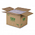Renewable and Compostable Lids, 8.8 x 8.8 x 1.64, Clear, Plastic, 200/Carton (EPSCS9SLID)