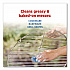 Steel Wool Soap Pads, Steel, 4/Box, 24 Boxes/Carton (98041)