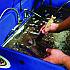 DYNA 143 Parts Washer Degreaser, 20 gal Drum (36650)