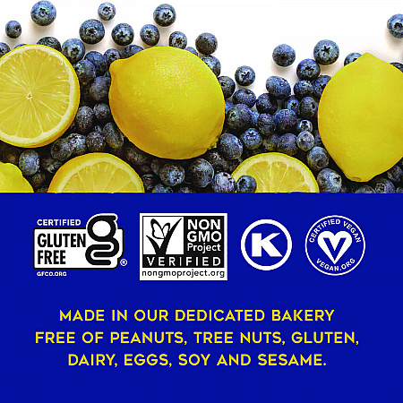 Warm 'N Chewey Gluten-Free Blueberry/Lemon Seed and Oat Bar, 1.6 oz Bar, 9/Box (ACY00592)