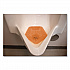 Anti-Splash Urinal Screen, Mango Mist Scent, Orange, 0.11 oz, 10/Box (1006)