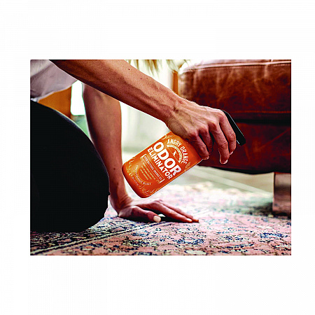 Pet Odor Eliminator Spray, Fresh Orange Blast Scent, 20 oz Spray Bottle (AOR20OZ)