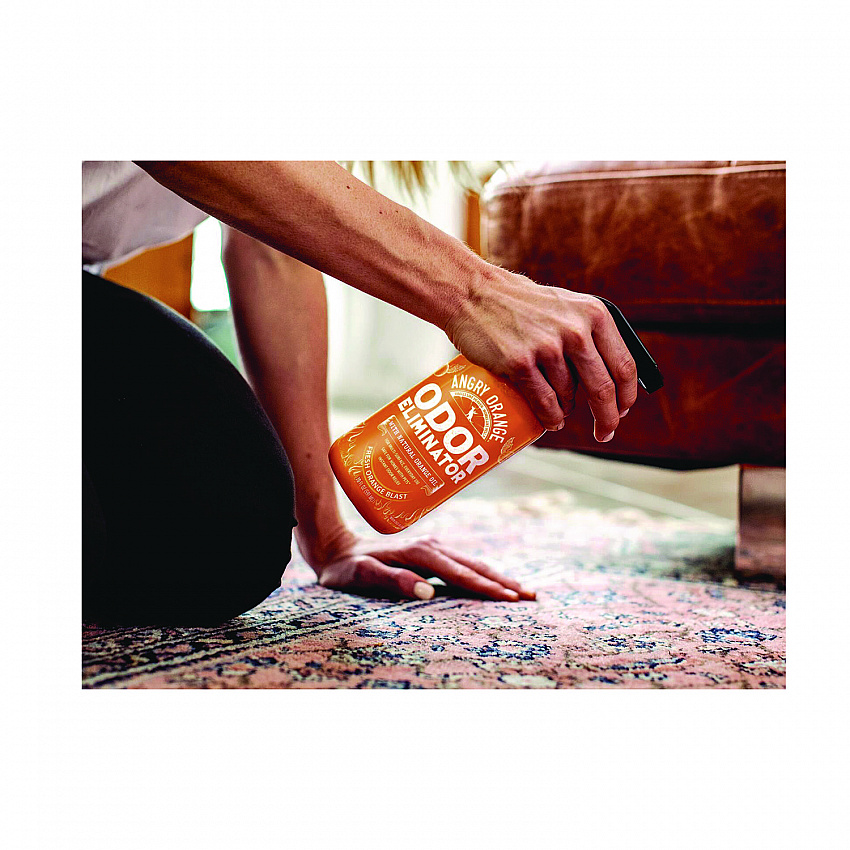 Pet Odor Eliminator Spray, Fresh Orange Blast Scent, 20 oz Spray Bottle (AOR20OZ)