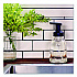 Clean Day Concentrated Foaming Hand Soap Dispenser Refill, Lavender Scent, 2 oz Bottle, 2/Pack (355611)