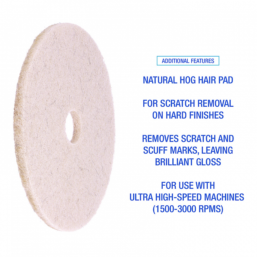 Natural Hog Hair Burnishing Floor Pads, 21" Diameter, Tan, 5/Carton (4021NHE)
