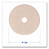 Natural Hog Hair Burnishing Floor Pads, 19