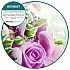 Odor-Out Rug/Room Deodorant, Bouquet, 12 oz, Shaker Can, 12/Box (121400BO)