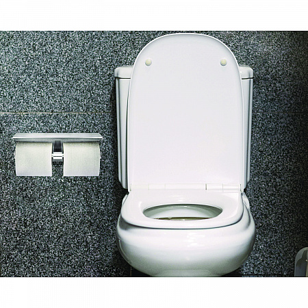 Double Post Toilet Paper Holder with Shelf Storage Rack, 3.87 x 10.5 x 3.95, Brushed Stainless Steel (ALP487B)