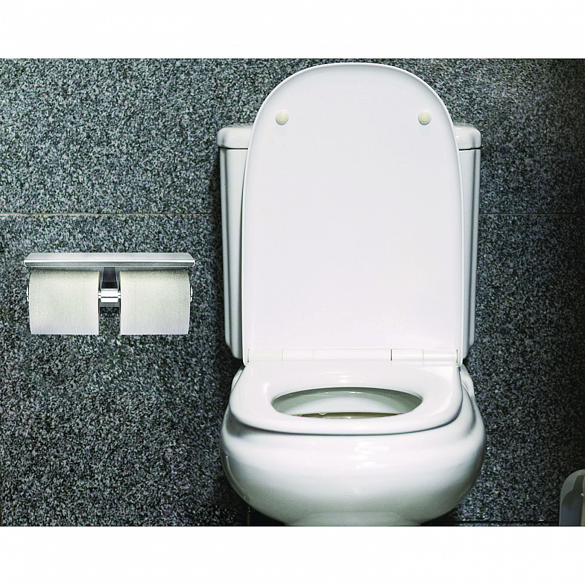 Double Post Toilet Paper Holder with Shelf Storage Rack, 3.87 x 10.5 x 3.95, Brushed Stainless Steel (ALP487B)
